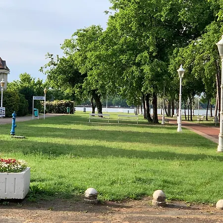 Platan I Palić