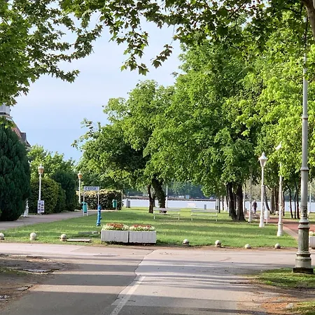 Platan I Palić