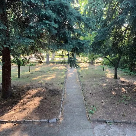 Apartament Platan I *