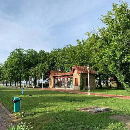 Platan I * Palić