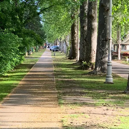 Platan I Apartament Palić